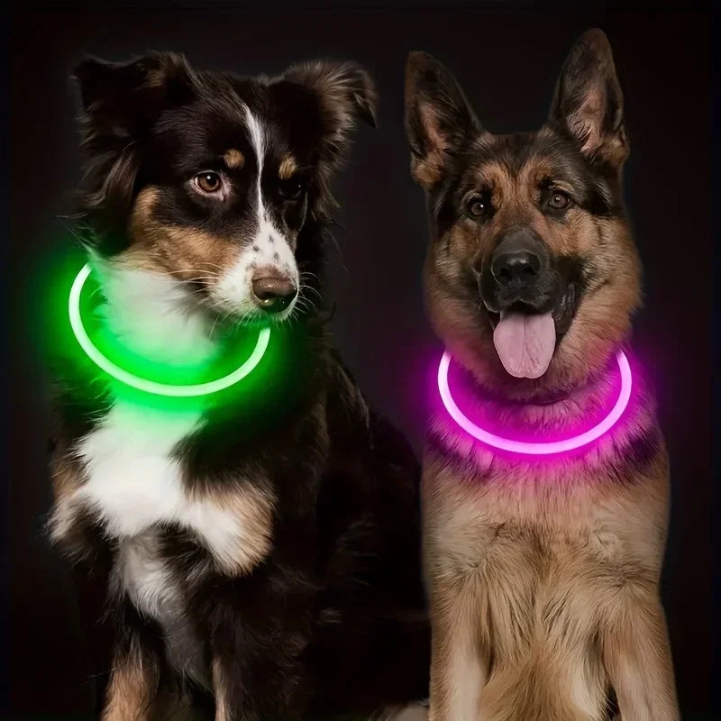 LED Light-Up Dog Collar – USB Rechargeable Safety Collar for Night Walks