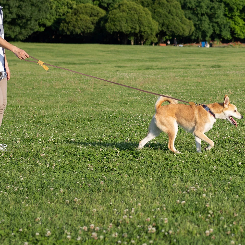 Hands-Free Dog Leash – Adjustable Waist Bungee Leash for Running & Walking