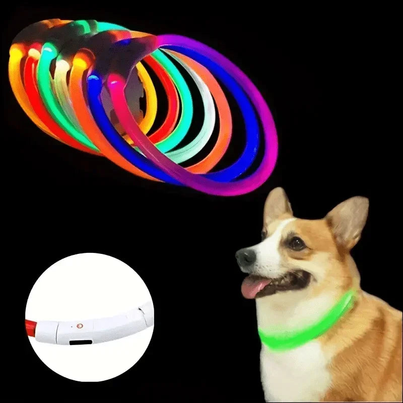 LED Light-Up Dog Collar – USB Rechargeable Safety Collar for Night Walks