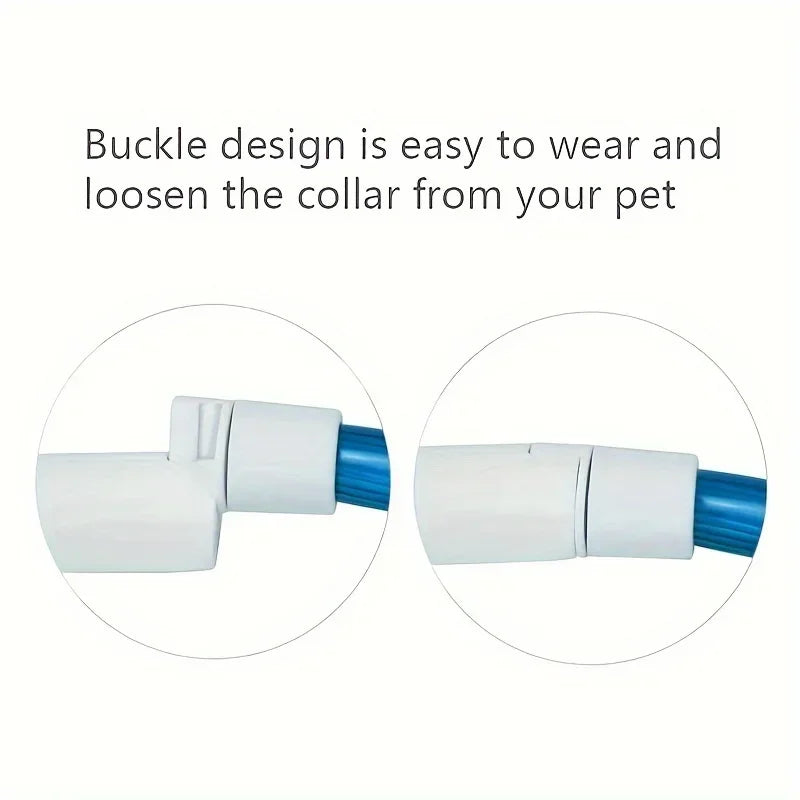 LED Light-Up Dog Collar – USB Rechargeable Safety Collar for Night Walks