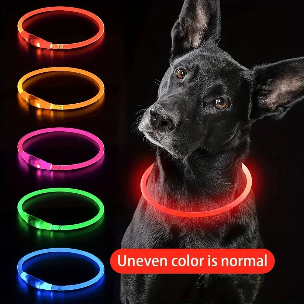 LED Light-Up Dog Collar – USB Rechargeable Safety Collar for Night Walks