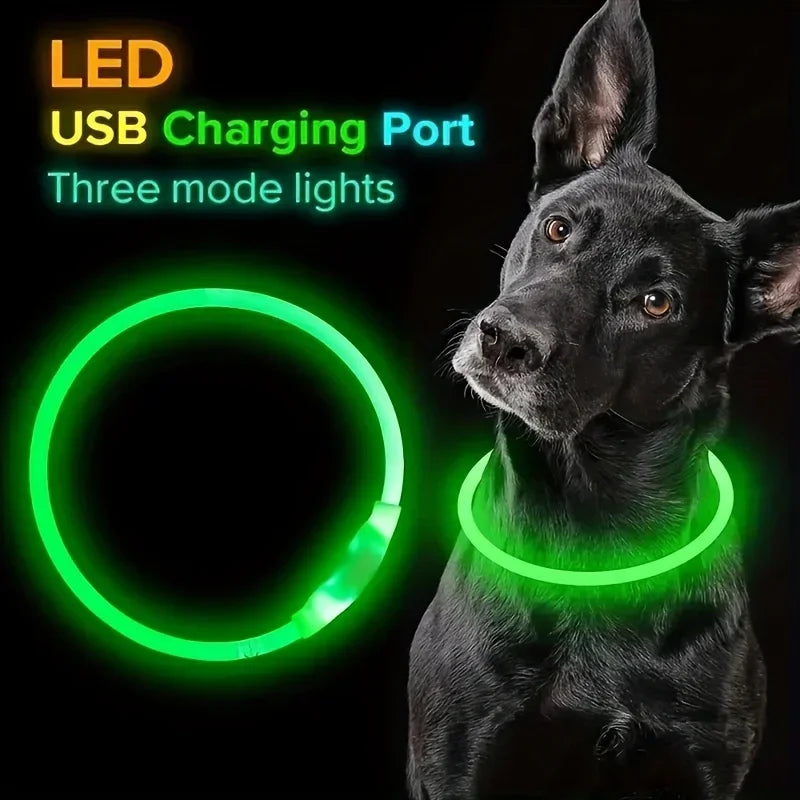 LED Light-Up Dog Collar – USB Rechargeable Safety Collar for Night Walks