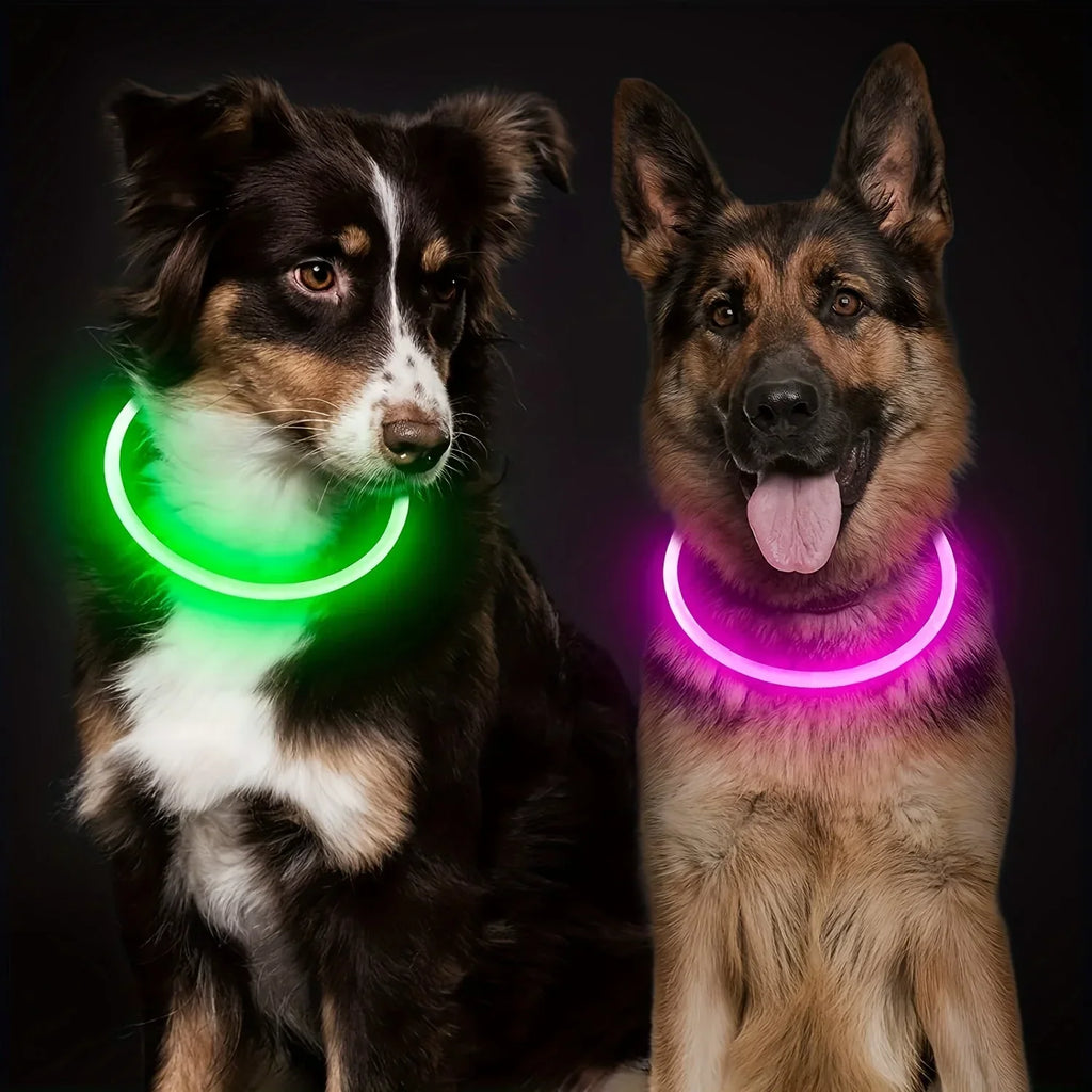 LED Light-Up Dog Collar – USB Rechargeable Safety Collar for Night Walks