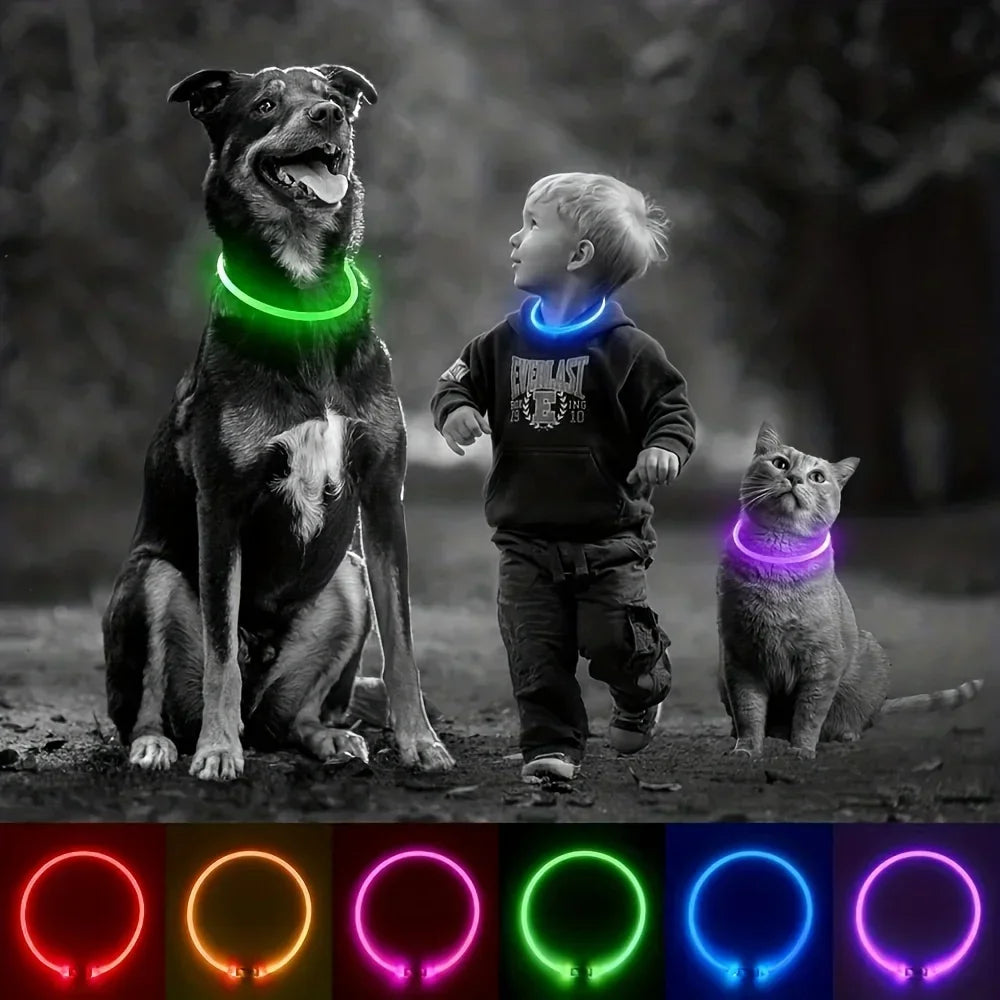 LED Light-Up Dog Collar – USB Rechargeable Safety Collar for Night Walks