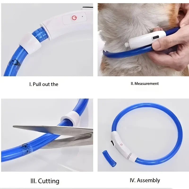 LED Light-Up Dog Collar – USB Rechargeable Safety Collar for Night Walks