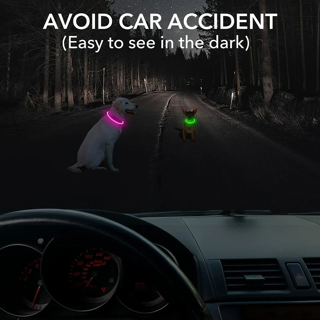 LED Light-Up Dog Collar – USB Rechargeable Safety Collar for Night Walks