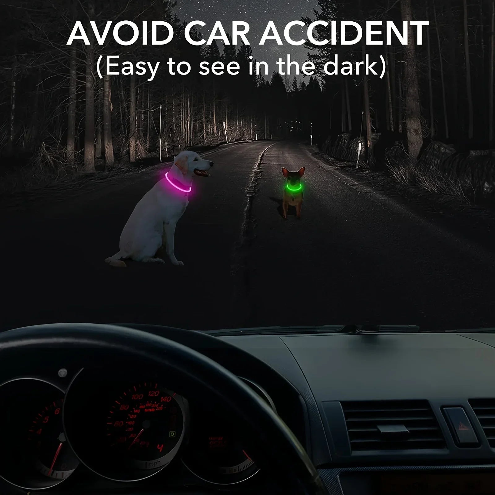 LED Light-Up Dog Collar – USB Rechargeable Safety Collar for Night Walks