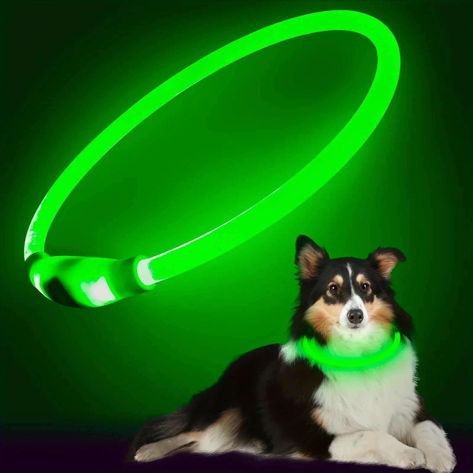 LED Light-Up Dog Collar – USB Rechargeable Safety Collar for Night Walks