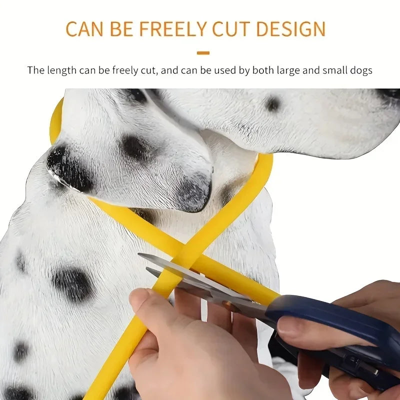 LED Light-Up Dog Collar – USB Rechargeable Safety Collar for Night Walks
