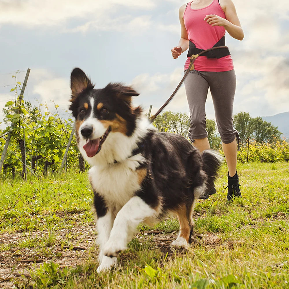 Hands-Free Dog Leash – Adjustable Waist Bungee Leash for Running & Walking