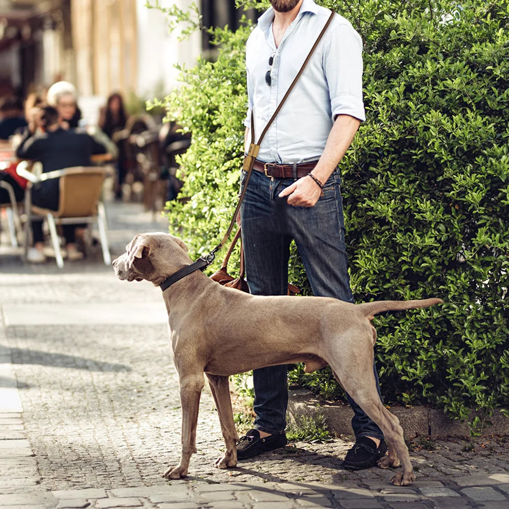 Hands-Free Dog Leash – Adjustable Waist Bungee Leash for Running & Walking