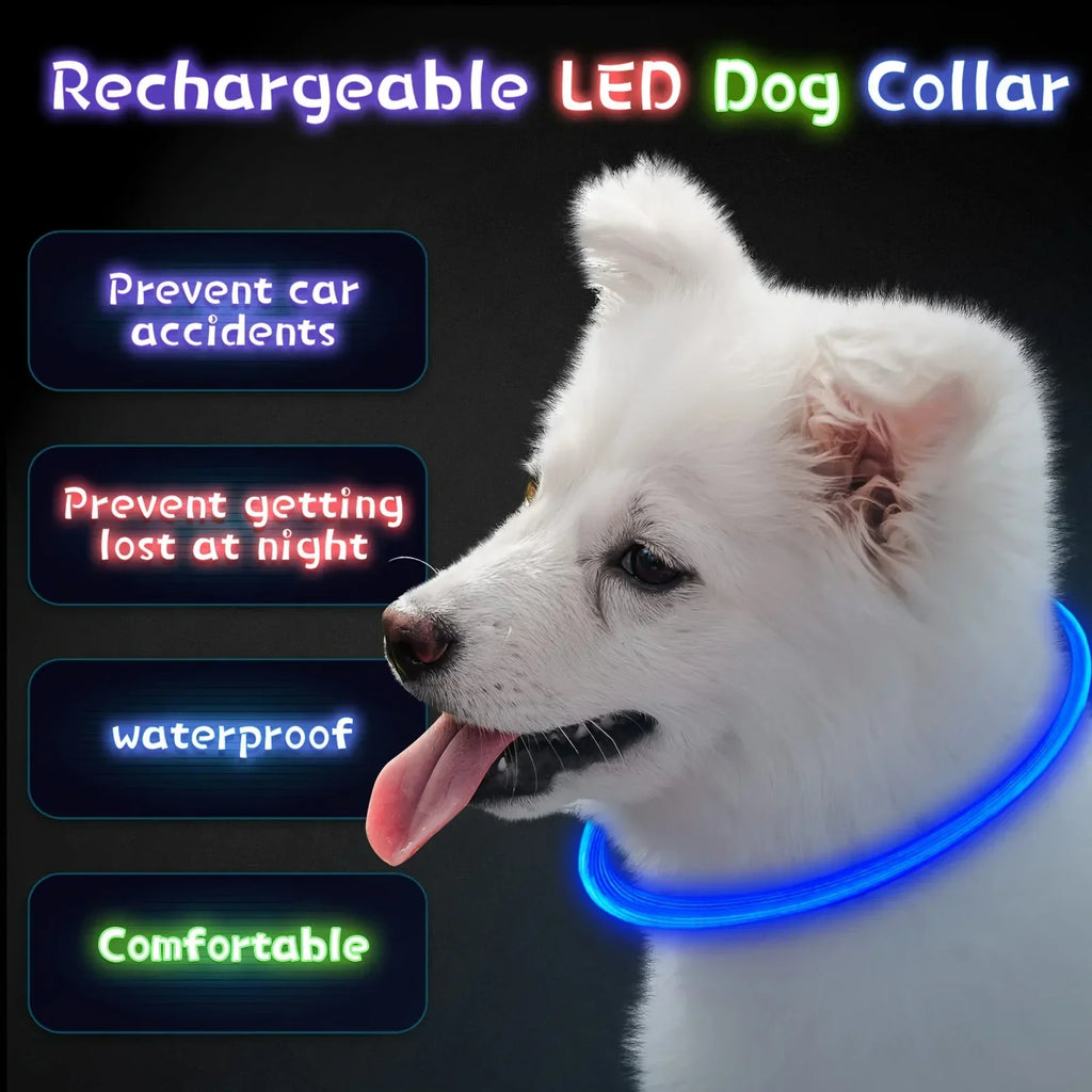 LED Light-Up Dog Collar – USB Rechargeable Safety Collar for Night Walks