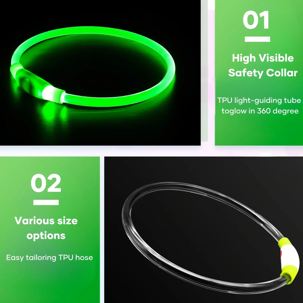 LED Light-Up Dog Collar – USB Rechargeable Safety Collar for Night Walks