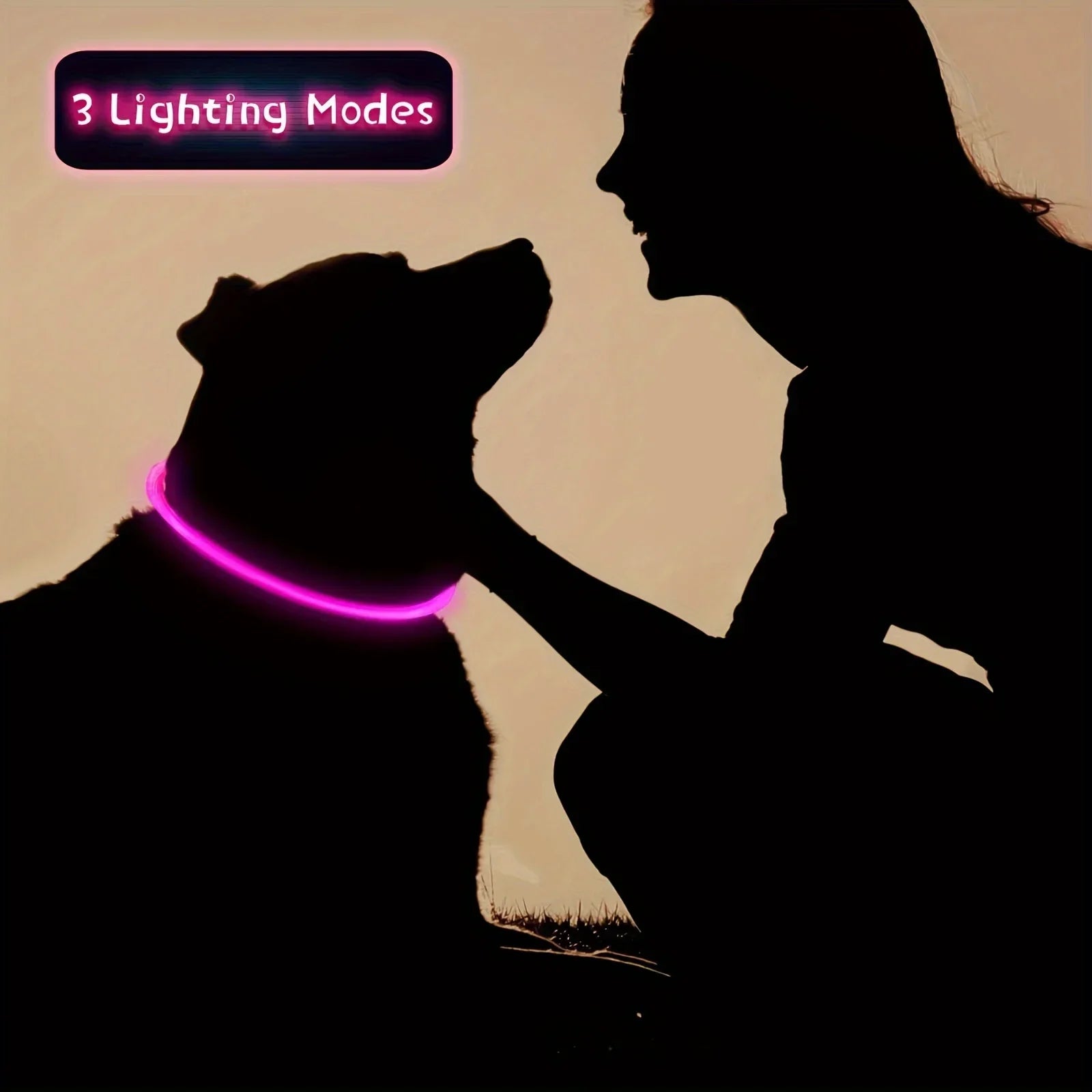 LED Light-Up Dog Collar – USB Rechargeable Safety Collar for Night Walks