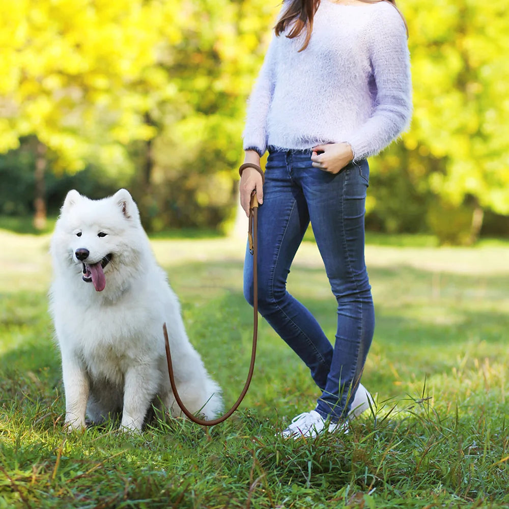 Hands-Free Dog Leash – Adjustable Waist Bungee Leash for Running & Walking