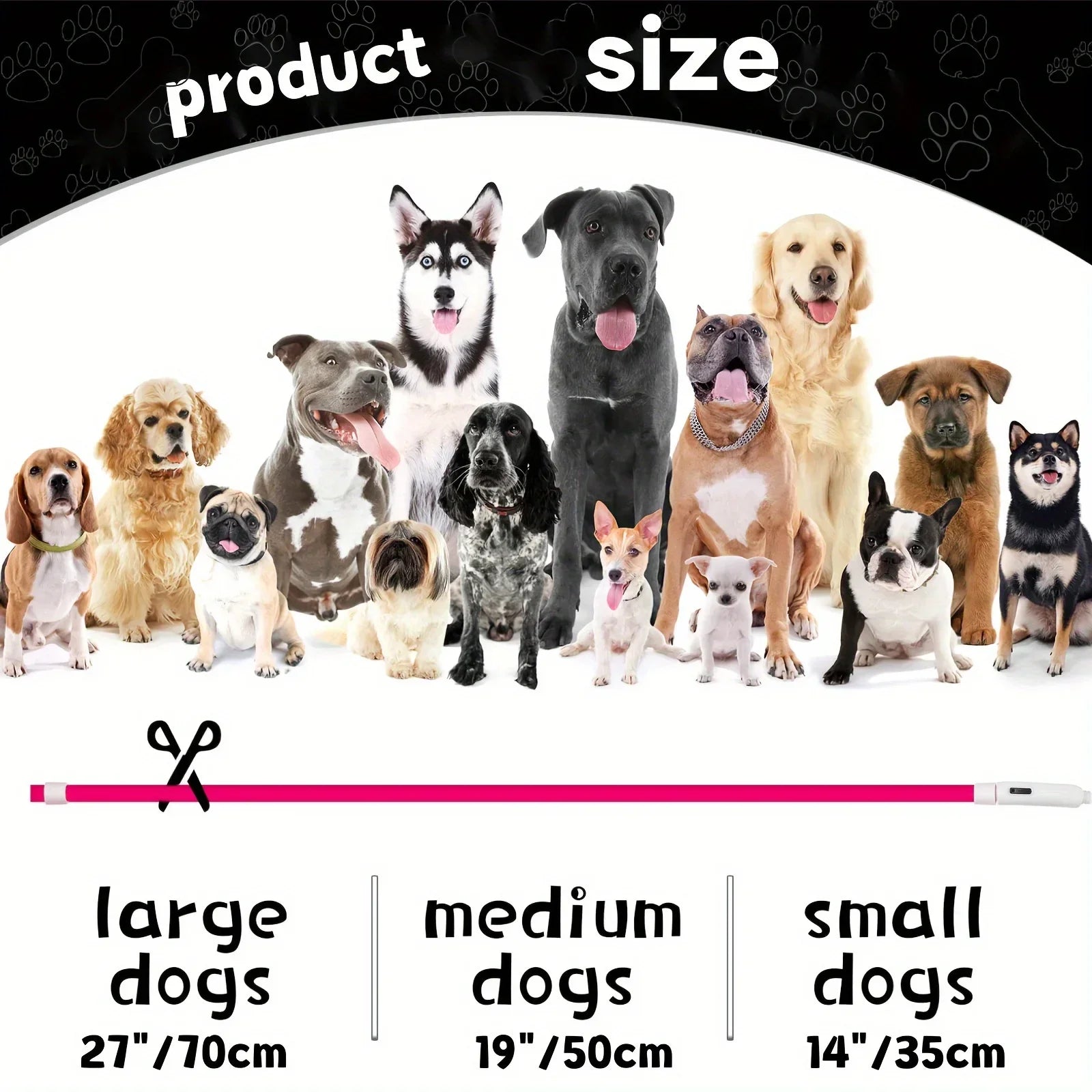 LED Light-Up Dog Collar – USB Rechargeable Safety Collar for Night Walks