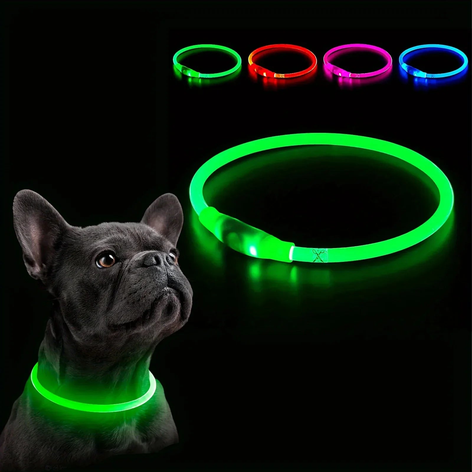 LED Light-Up Dog Collar – USB Rechargeable Safety Collar for Night Walks