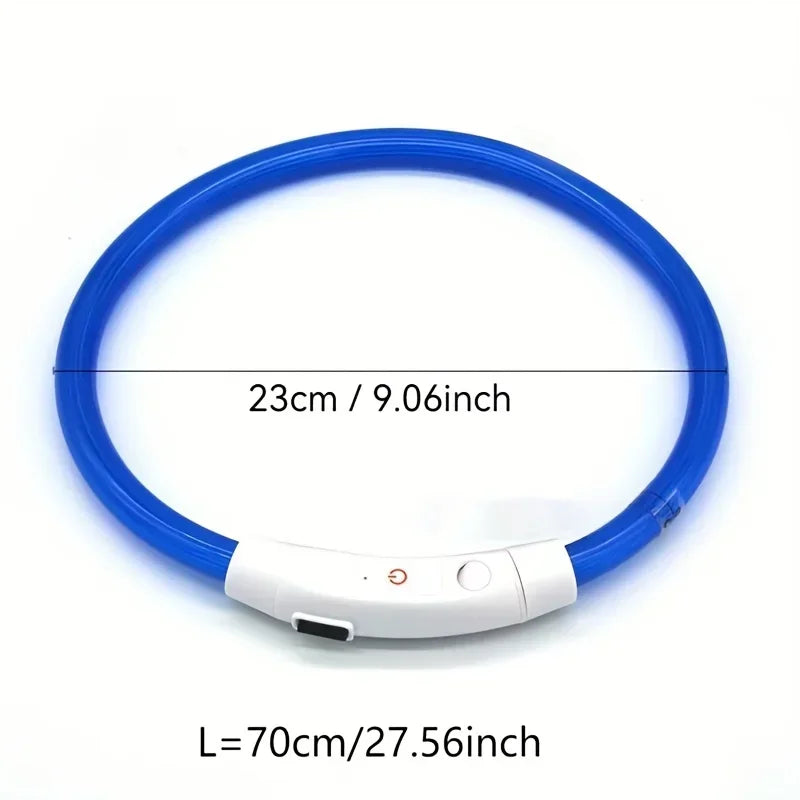 LED Light-Up Dog Collar – USB Rechargeable Safety Collar for Night Walks